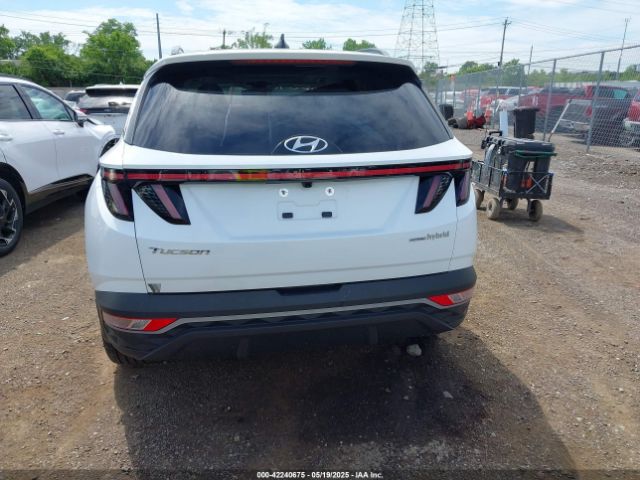 KM8JCCD11RU163872 Hyundai Tucson Hybrid Sel Convenience