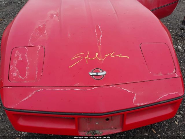 1985 CHEVROLET CORVETTE 1G1YY0788F5136999 Photo 9