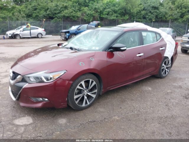 1N4AA6AP2HC392902 Nissan Maxima 3.5 Platinum
