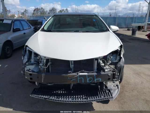 5YFBURHE2JP843495 Toyota Corolla Xse