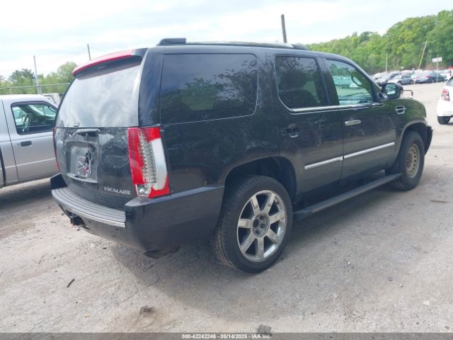 2009 CADILLAC ESCALADE 1GYFK23269R124693 Photo 3