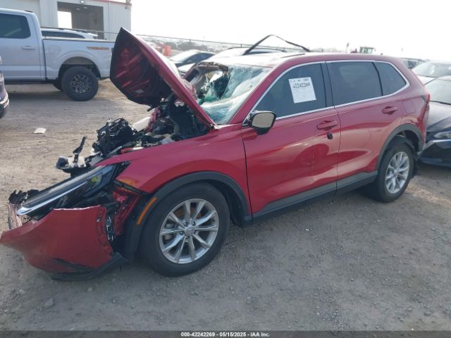 2024 HONDA CR-V 5J6RS3H76RL006489 Photo 1