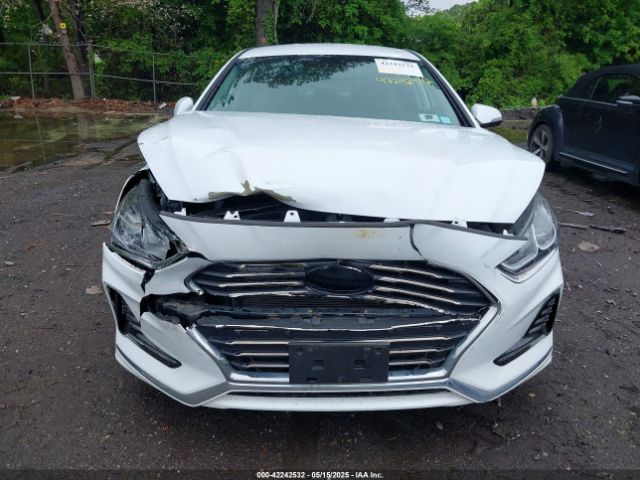5NPE34AF5JH645528 Hyundai SONATA SEL