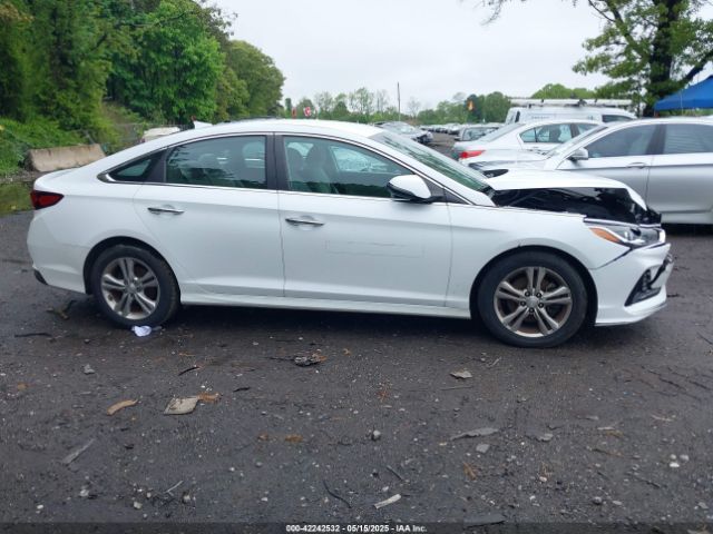 5NPE34AF5JH645528 Hyundai SONATA SEL