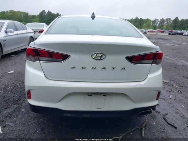 5NPE34AF5JH645528 Hyundai SONATA SEL