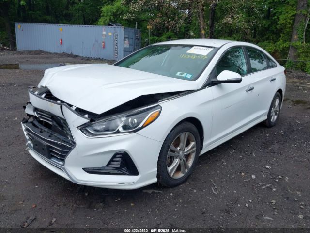 5NPE34AF5JH645528 Hyundai SONATA SEL