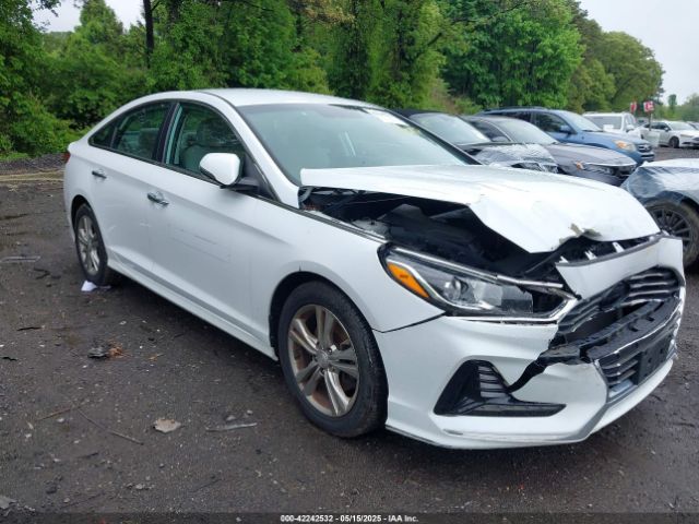 5NPE34AF5JH645528 Hyundai SONATA SEL