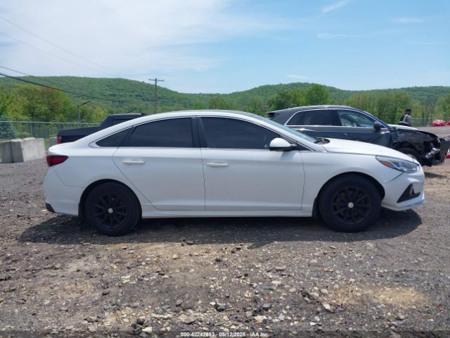 5NPE24AF5JH717900 Hyundai SONATA SE