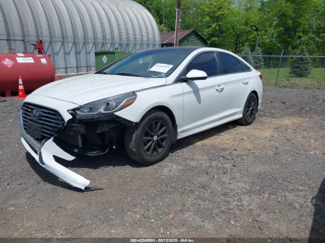 5NPE24AF5JH717900 Hyundai SONATA SE