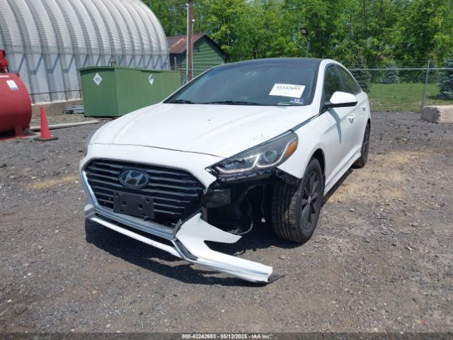 5NPE24AF5JH717900 Hyundai SONATA SE