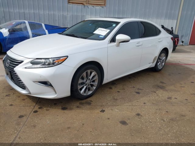 JTHBW1GGXG2122104 Lexus ES 300H