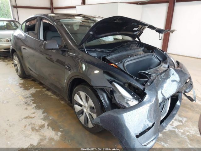 2024 TESLA MODEL Y 7SAYGDED4RF072600