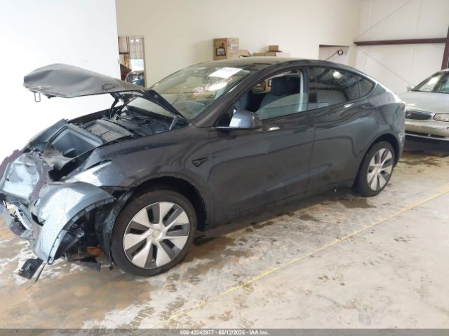 2024 TESLA MODEL Y 7SAYGDED4RF072600 Photo 1