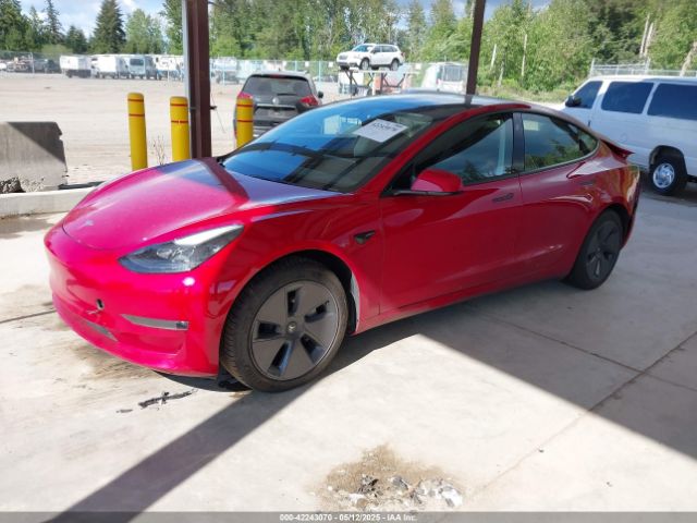 2023 TESLA MODEL 3 5YJ3E1EB1PF619250 Photo 1
