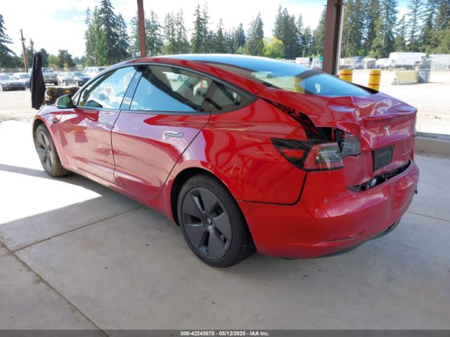 2023 TESLA MODEL 3 5YJ3E1EB1PF619250 Photo 2