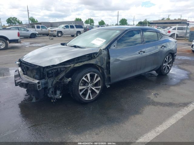 1N4AA6AP4HC428251 Nissan Maxima 3.5 Sv