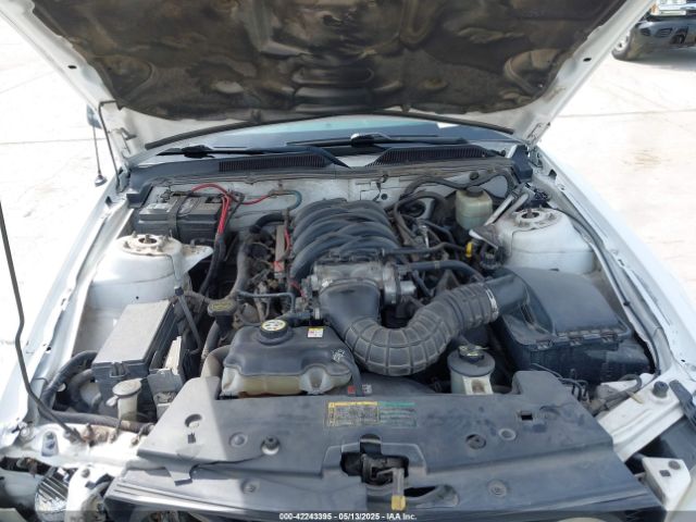 2006 FORD MUSTANG 1ZVFT82H465152018 Photo 9