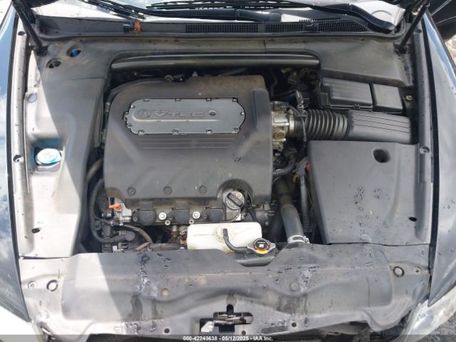 2006 ACURA TL 19UUA66236A034464 Photo 9