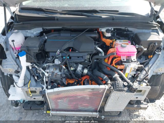 2025 KIA CARNIVAL MPV HYBRID KNDNE5KA8S6042829 Photo 9