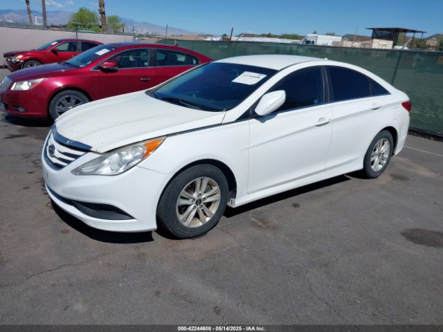 5NPEB4AC7EH846328 Hyundai SONATA GLS