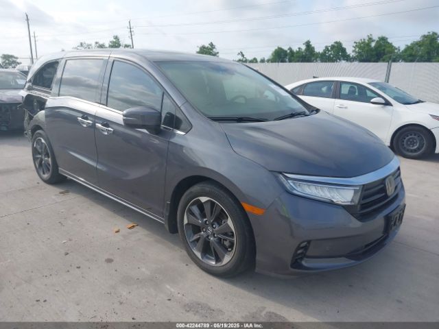 2023 HONDA ODYSSEY 5FNRL6H9XPB008042