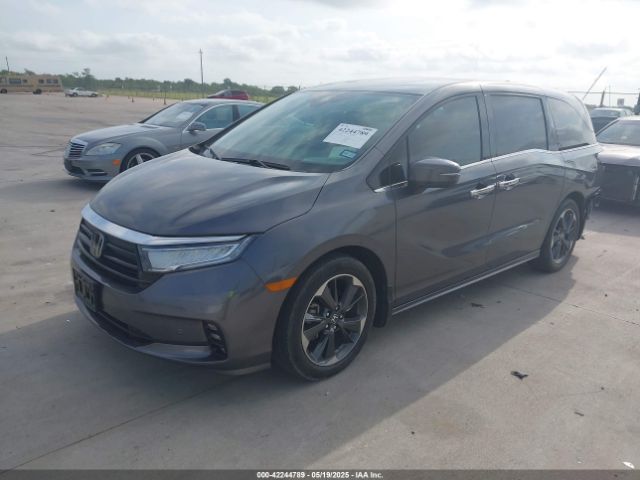 2023 HONDA ODYSSEY 5FNRL6H9XPB008042 Photo 1