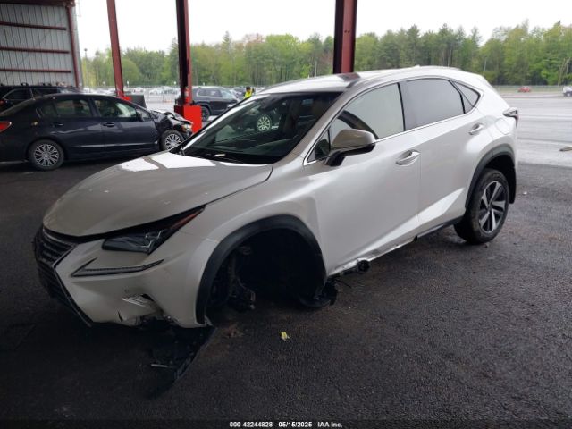 2019 LEXUS NX 300 JTJBARBZ2K2183055 Photo 1