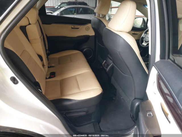 2019 LEXUS NX 300 JTJBARBZ2K2183055 Photo 7