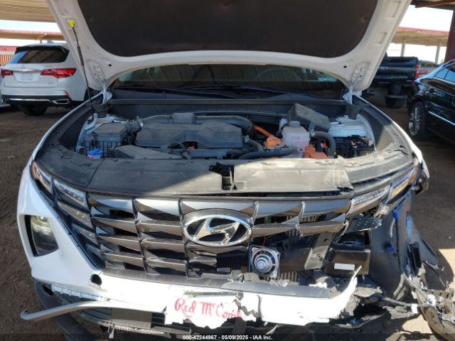 KM8JBCA19PU096801 Hyundai Tucson Hybrid Blue
