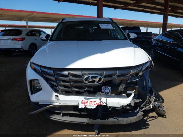 KM8JBCA19PU096801 Hyundai Tucson Hybrid Blue