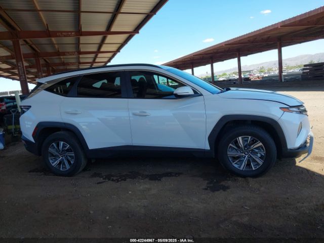 KM8JBCA19PU096801 Hyundai Tucson Hybrid Blue
