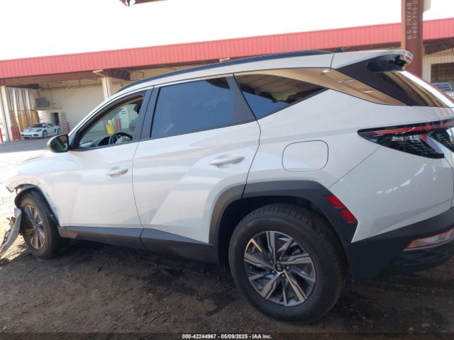 KM8JBCA19PU096801 Hyundai Tucson Hybrid Blue