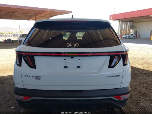 KM8JBCA19PU096801 Hyundai Tucson Hybrid Blue
