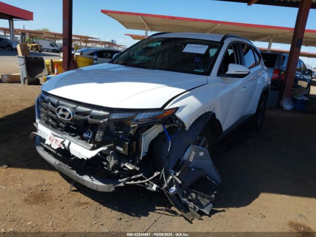 KM8JBCA19PU096801 Hyundai Tucson Hybrid Blue