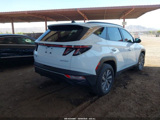 KM8JBCA19PU096801 Hyundai Tucson Hybrid Blue