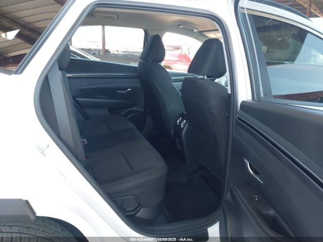 KM8JBCA19PU096801 Hyundai Tucson Hybrid Blue