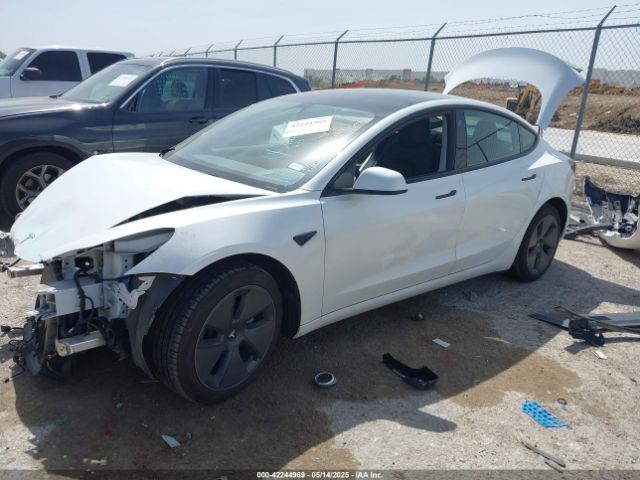 2023 TESLA MODEL 3 5YJ3E1EA7PF607353 Photo 1