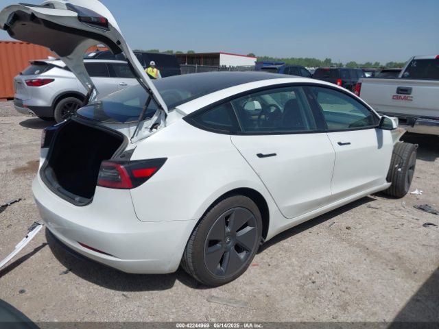 2023 TESLA MODEL 3 5YJ3E1EA7PF607353 Photo 3