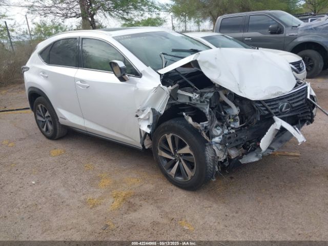 2019 LEXUS NX 300H JTJBJRBZ2K2105410