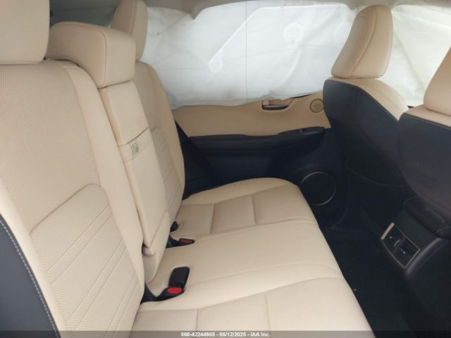 2019 LEXUS NX 300H JTJBJRBZ2K2105410 Photo 7