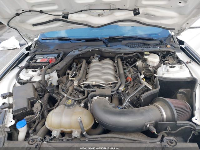 1FA6P8CF4L5191133 Ford Mustang Gt Fastback