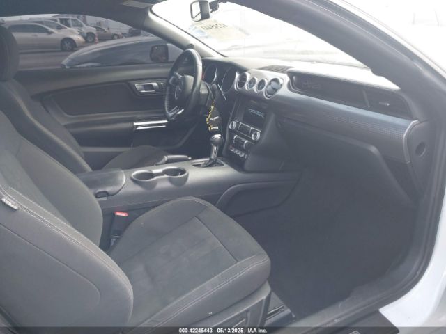 1FA6P8CF4L5191133 Ford Mustang Gt Fastback