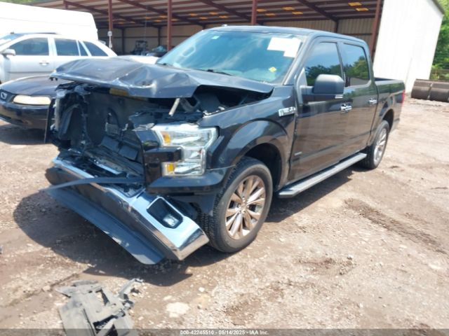1FTEW1CP7FKE20242 Ford F-150 Xlt