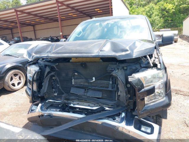 1FTEW1CP7FKE20242 Ford F-150 Xlt