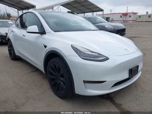 2022 TESLA MODEL Y 7SAYGAEE1NF402341