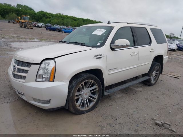 2013 CADILLAC ESCALADE 1GYS4CEF8DR272495 Photo 1