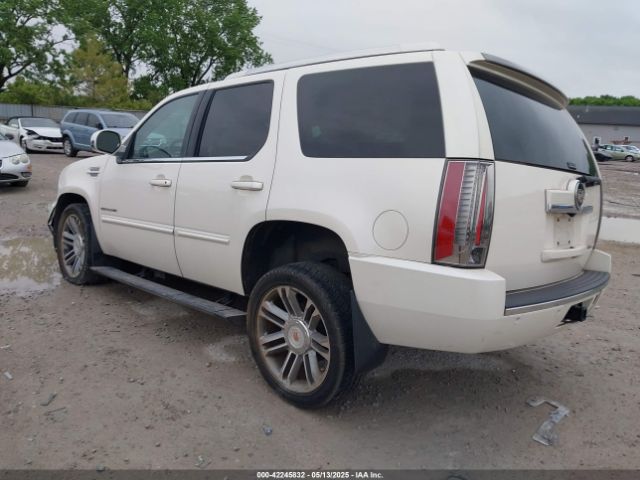 2013 CADILLAC ESCALADE 1GYS4CEF8DR272495 Photo 2