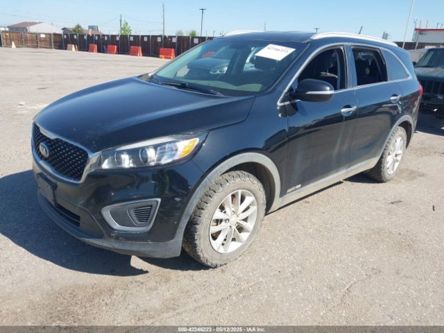 5XYPGDA54HG230349 KIA Sorento 3.3l Lx