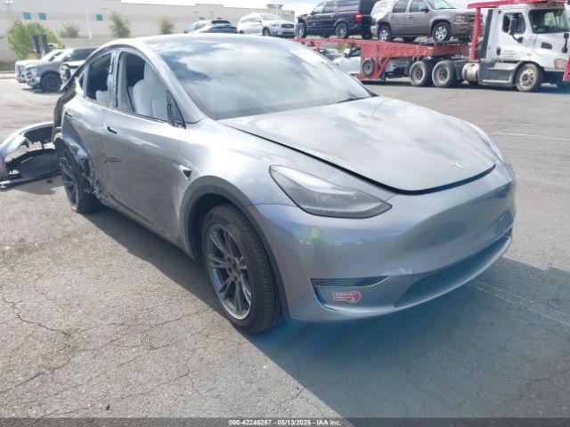 2024 TESLA MODEL Y 7SAYGDED7RF197638