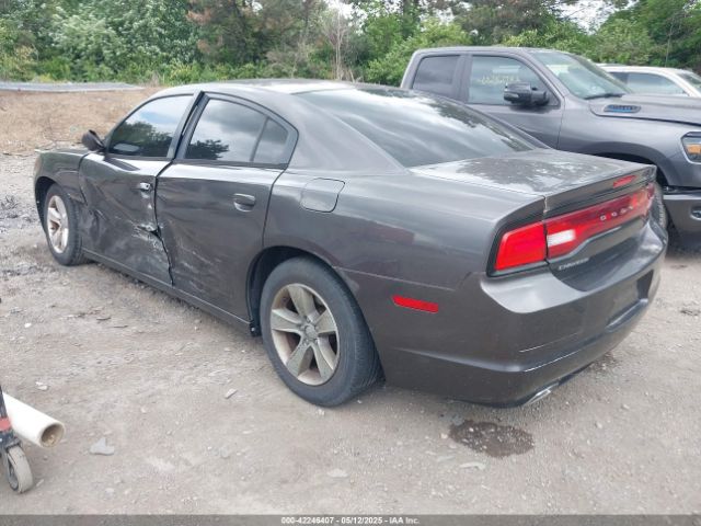2013 DODGE CHARGER 2C3CDXBG7DH642371 Photo 2